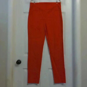 Hybrid and Company Orange Skinny Stretchy High-Rise Pants / Size 1X